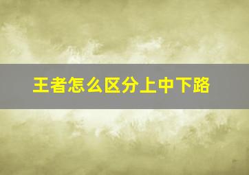 王者怎么区分上中下路