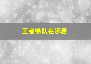 王者梯队在哪看