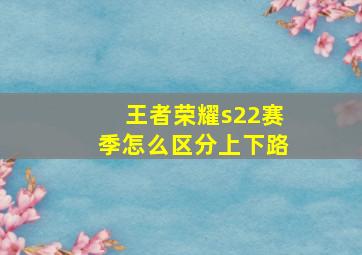 王者荣耀s22赛季怎么区分上下路