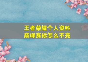 王者荣耀个人资料巅峰赛标怎么不亮