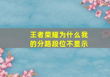 王者荣耀为什么我的分路段位不显示