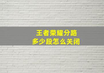 王者荣耀分路多少段怎么关闭