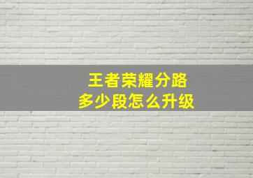 王者荣耀分路多少段怎么升级