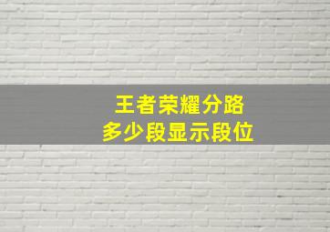 王者荣耀分路多少段显示段位