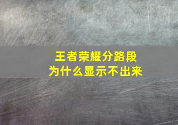 王者荣耀分路段为什么显示不出来