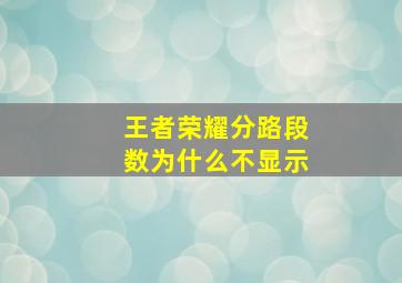 王者荣耀分路段数为什么不显示