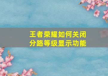 王者荣耀如何关闭分路等级显示功能