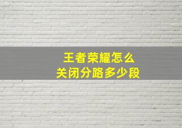 王者荣耀怎么关闭分路多少段