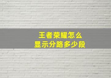 王者荣耀怎么显示分路多少段