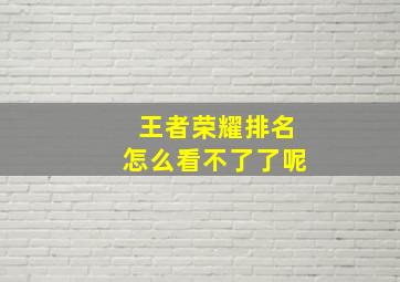 王者荣耀排名怎么看不了了呢