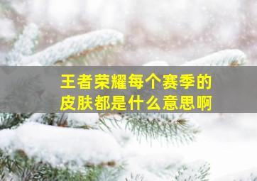 王者荣耀每个赛季的皮肤都是什么意思啊