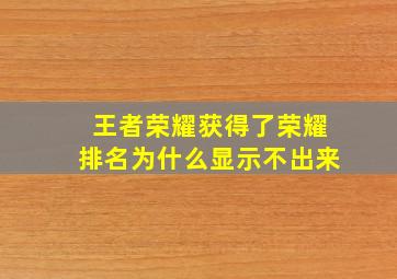 王者荣耀获得了荣耀排名为什么显示不出来