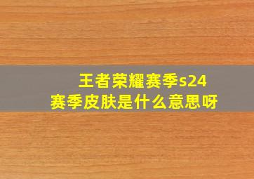 王者荣耀赛季s24赛季皮肤是什么意思呀