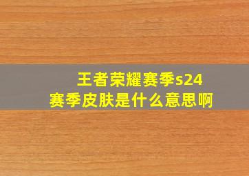 王者荣耀赛季s24赛季皮肤是什么意思啊