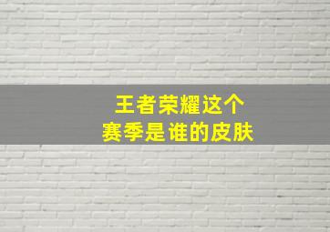 王者荣耀这个赛季是谁的皮肤