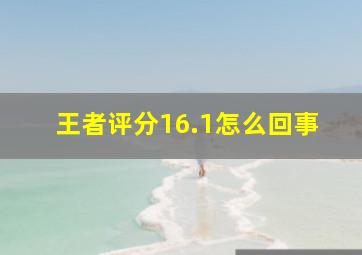 王者评分16.1怎么回事