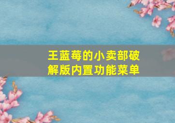 王蓝莓的小卖部破解版内置功能菜单