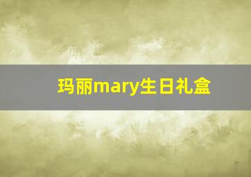 玛丽mary生日礼盒