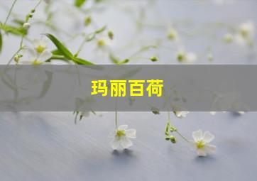 玛丽百荷