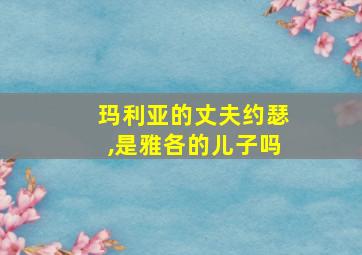 玛利亚的丈夫约瑟,是雅各的儿子吗