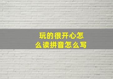 玩的很开心怎么读拼音怎么写