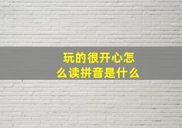 玩的很开心怎么读拼音是什么