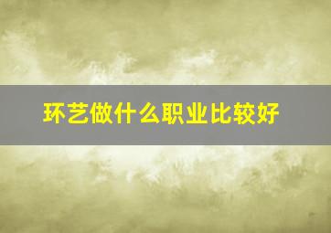 环艺做什么职业比较好