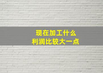 现在加工什么利润比较大一点