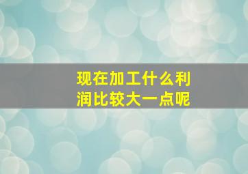 现在加工什么利润比较大一点呢