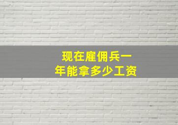 现在雇佣兵一年能拿多少工资