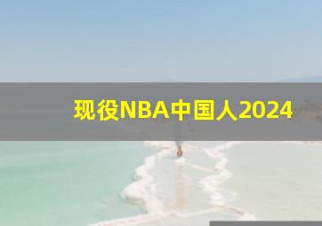 现役NBA中国人2024