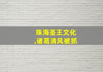 珠海圣王文化,诸葛清风被抓