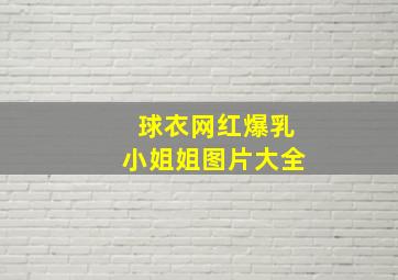 球衣网红爆乳小姐姐图片大全