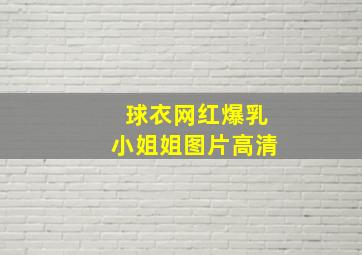 球衣网红爆乳小姐姐图片高清