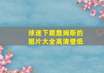 球迷下跪詹姆斯的图片大全高清壁纸