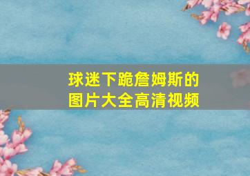 球迷下跪詹姆斯的图片大全高清视频