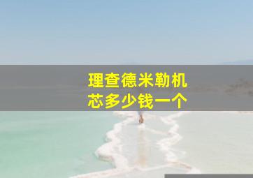 理查德米勒机芯多少钱一个