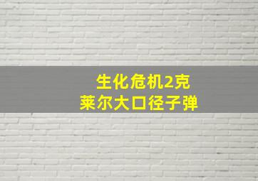 生化危机2克莱尔大口径子弹