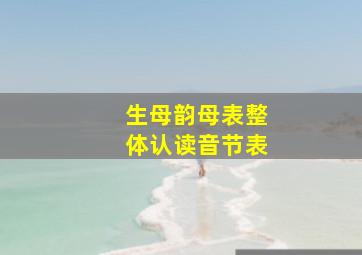 生母韵母表整体认读音节表