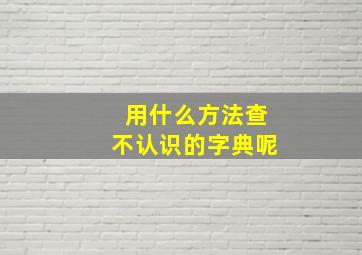 用什么方法查不认识的字典呢