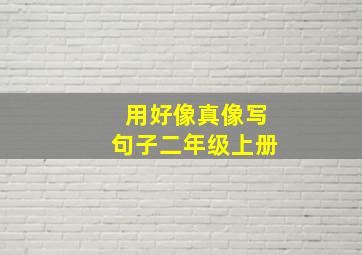 用好像真像写句子二年级上册