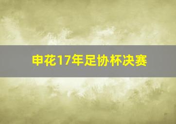 申花17年足协杯决赛