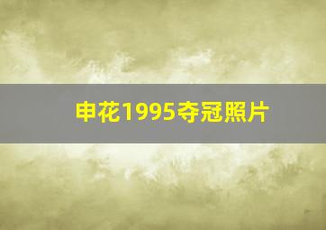 申花1995夺冠照片