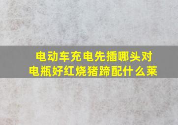 电动车充电先插哪头对电瓶好红烧猪蹄配什么莱