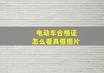 电动车合格证怎么看真假图片