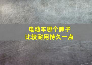 电动车哪个牌子比较耐用持久一点