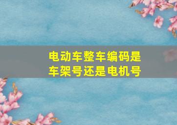 电动车整车编码是车架号还是电机号