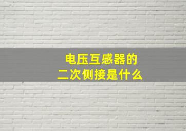 电压互感器的二次侧接是什么