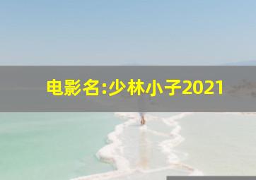 电影名:少林小子2021