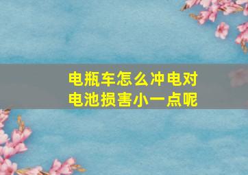 电瓶车怎么冲电对电池损害小一点呢